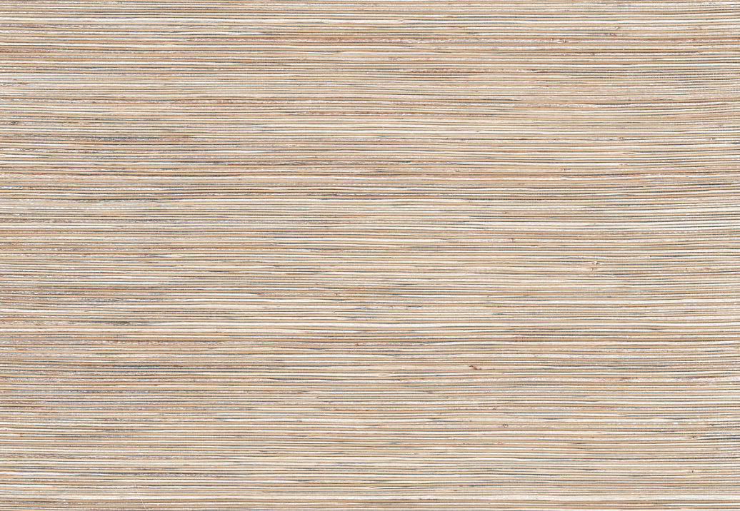 Обои York Natural Discovery (Candice Olson) NT6103