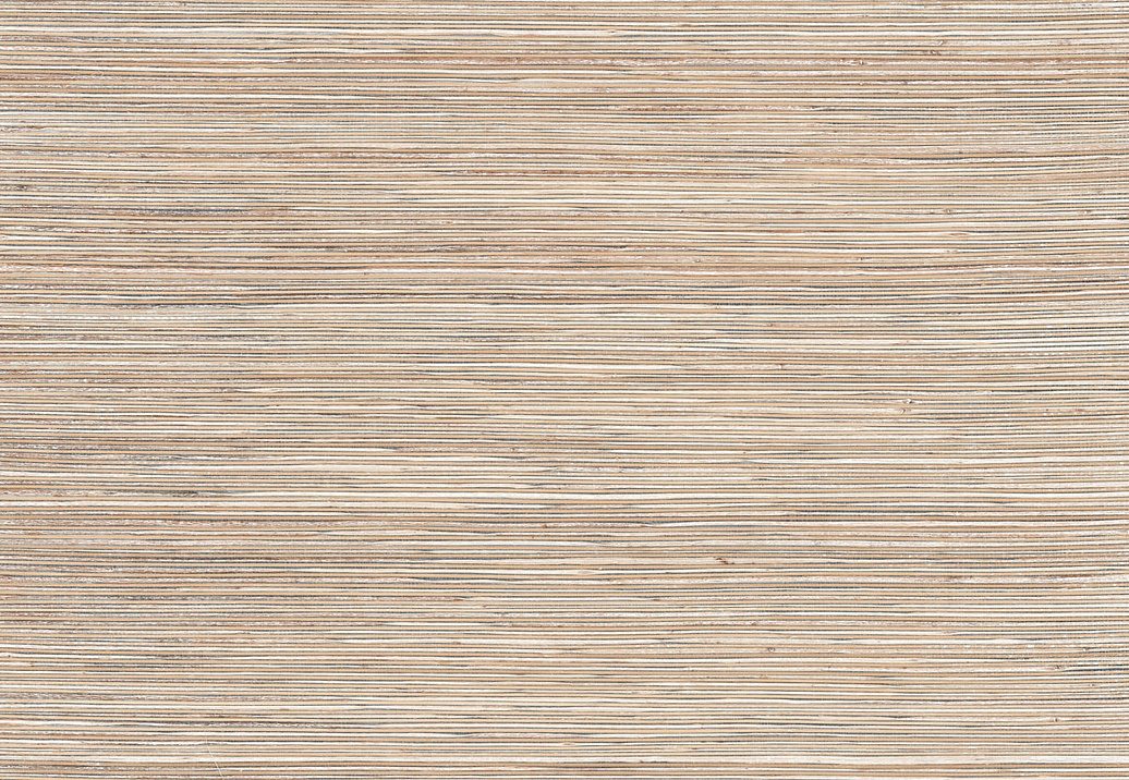 Обои York Natural Discovery (Candice Olson) NT6103