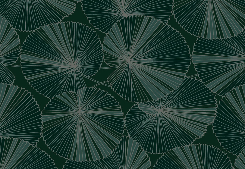 Обои York Natural Discovery (Candice Olson) NT6111