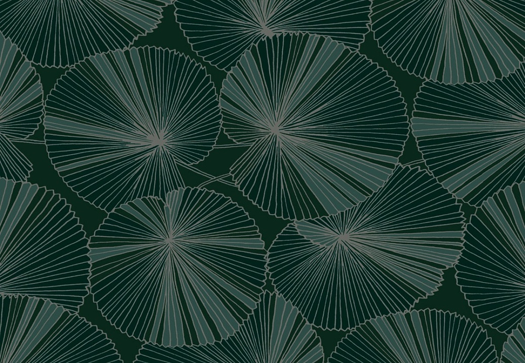 Обои York Natural Discovery (Candice Olson) NT6111