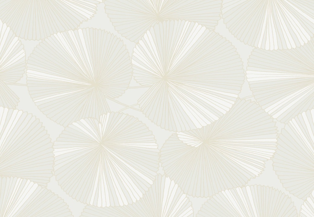 Обои York Natural Discovery (Candice Olson) NT6112