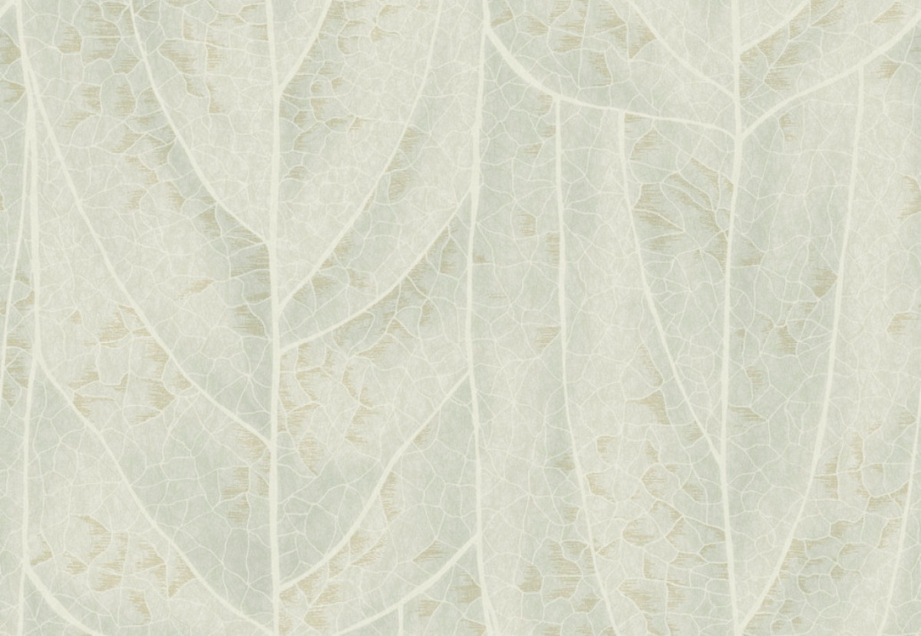 Обои York Natural Discovery (Candice Olson) NT6142