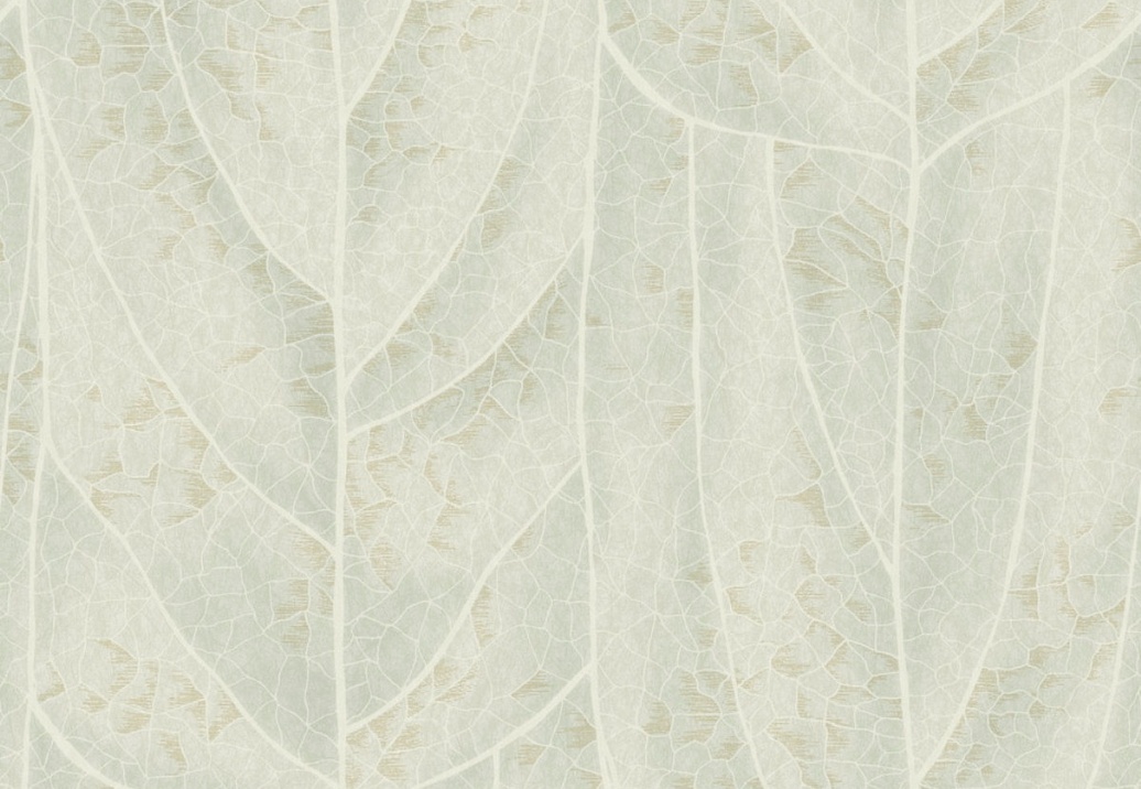 Обои York Natural Discovery (Candice Olson) NT6142