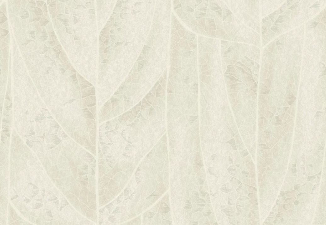 Обои York Natural Discovery (Candice Olson) NT6143