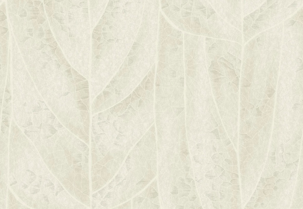 Обои York Natural Discovery (Candice Olson) NT6143