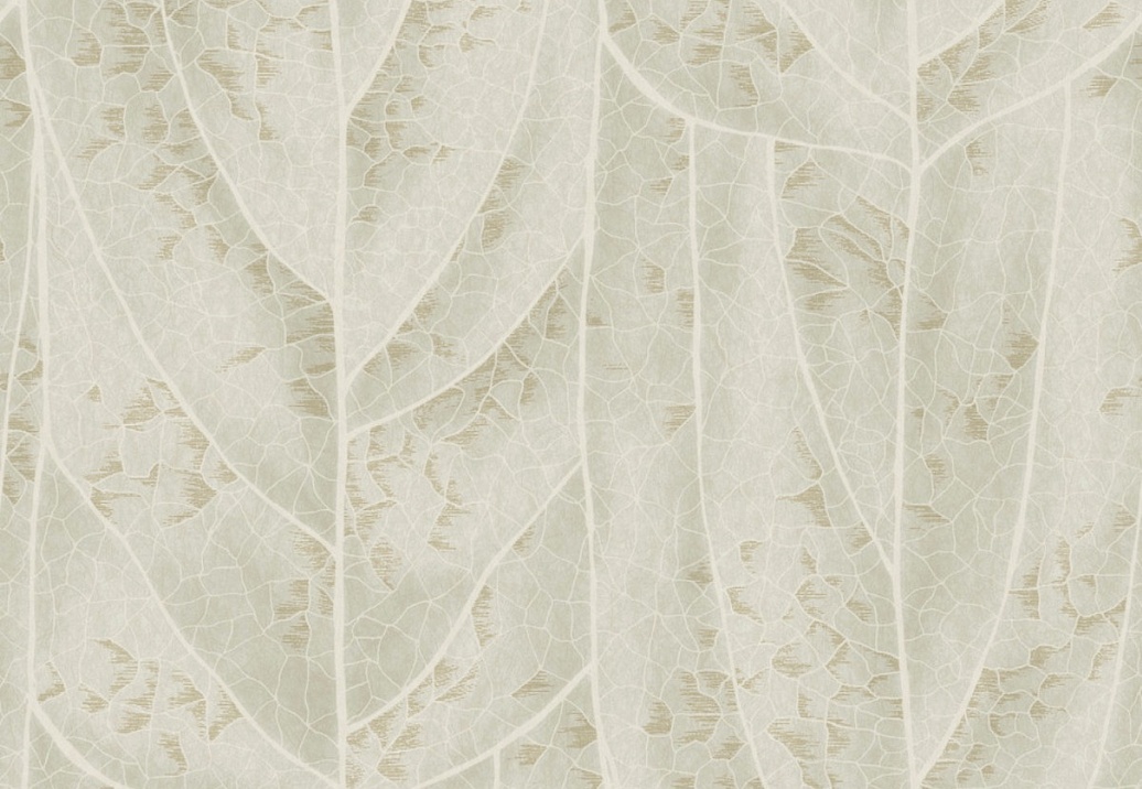 Обои York Natural Discovery (Candice Olson) NT6144