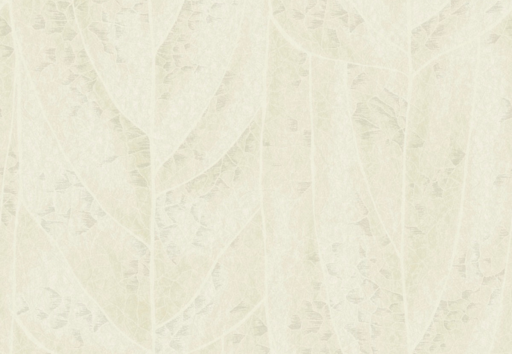Обои York Natural Discovery (Candice Olson) NT6145