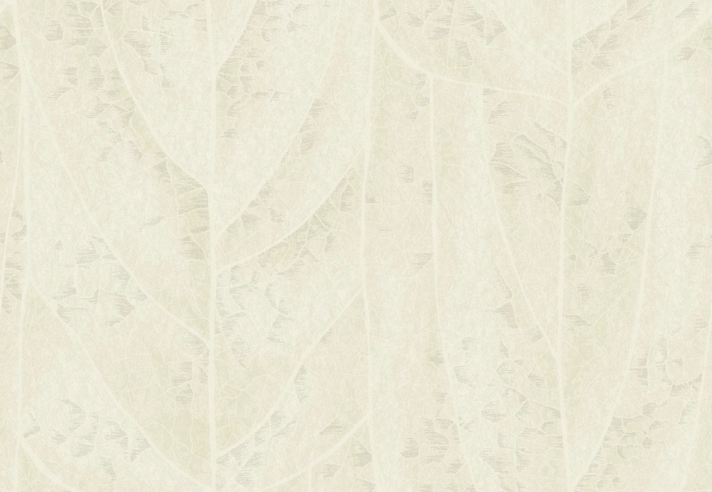 Обои York Natural Discovery (Candice Olson) NT6145
