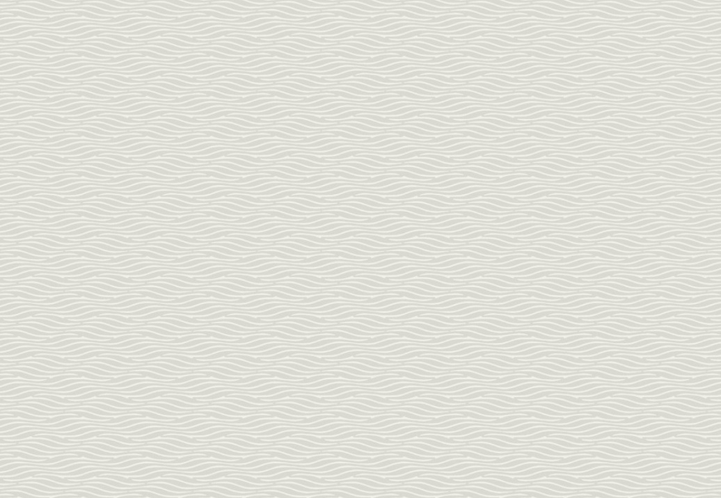 Обои York Natural Discovery (Candice Olson) NT6152