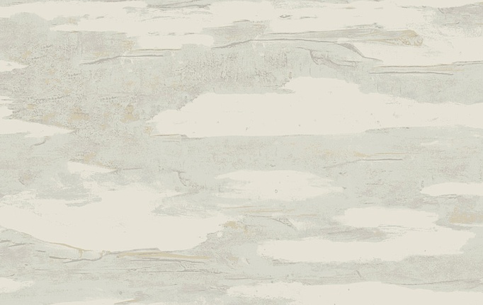 Американские обои York, коллекция Natural Discovery (Candice Olson), артикул NT6175