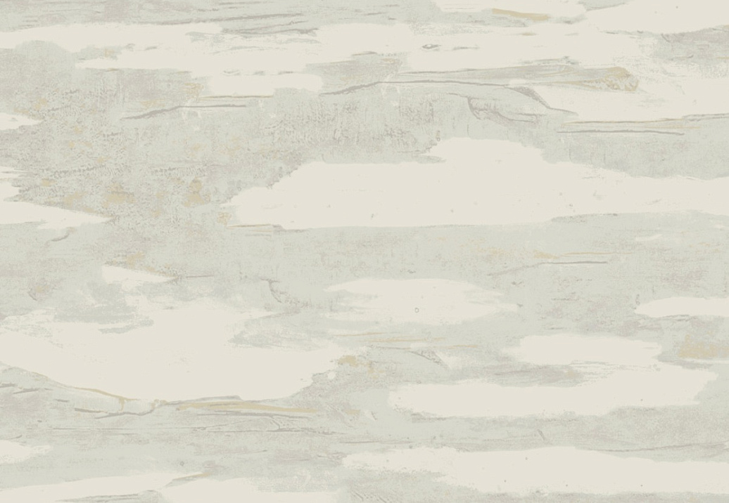 Обои York Natural Discovery (Candice Olson) NT6175