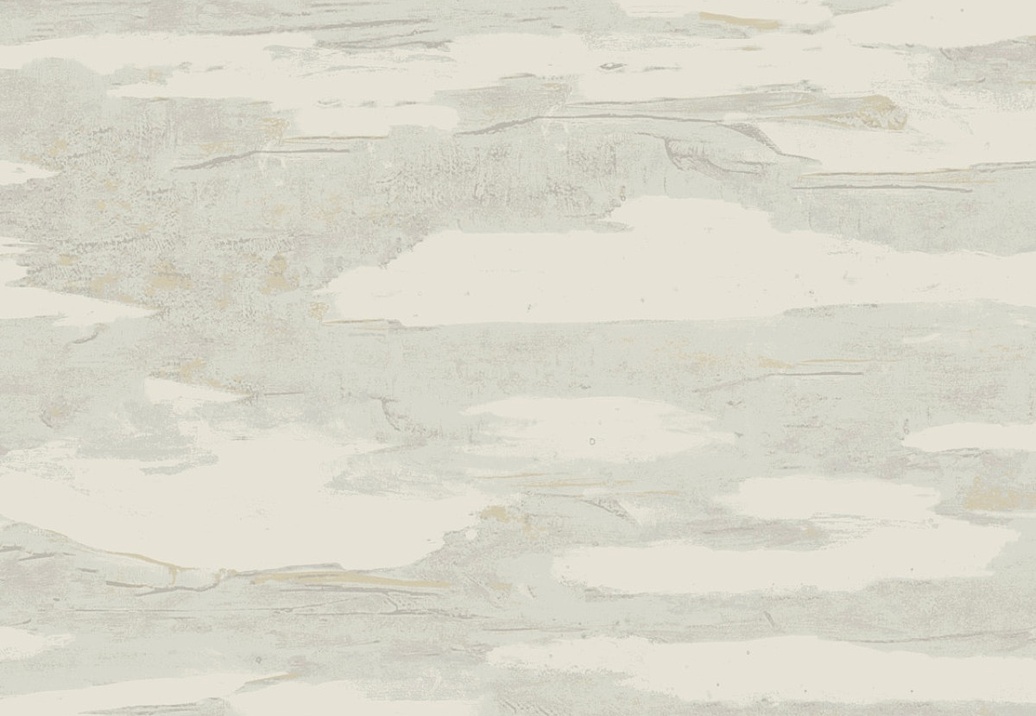 Обои York Natural Discovery (Candice Olson) NT6175