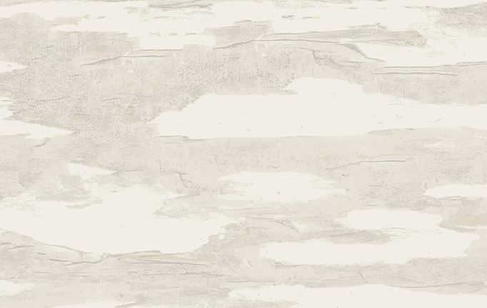 Американские обои York, коллекция Natural Discovery (Candice Olson), артикул NT6176