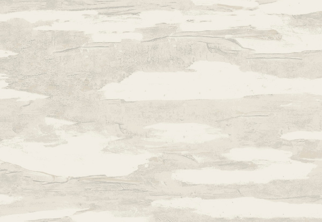 Обои York Natural Discovery (Candice Olson) NT6176