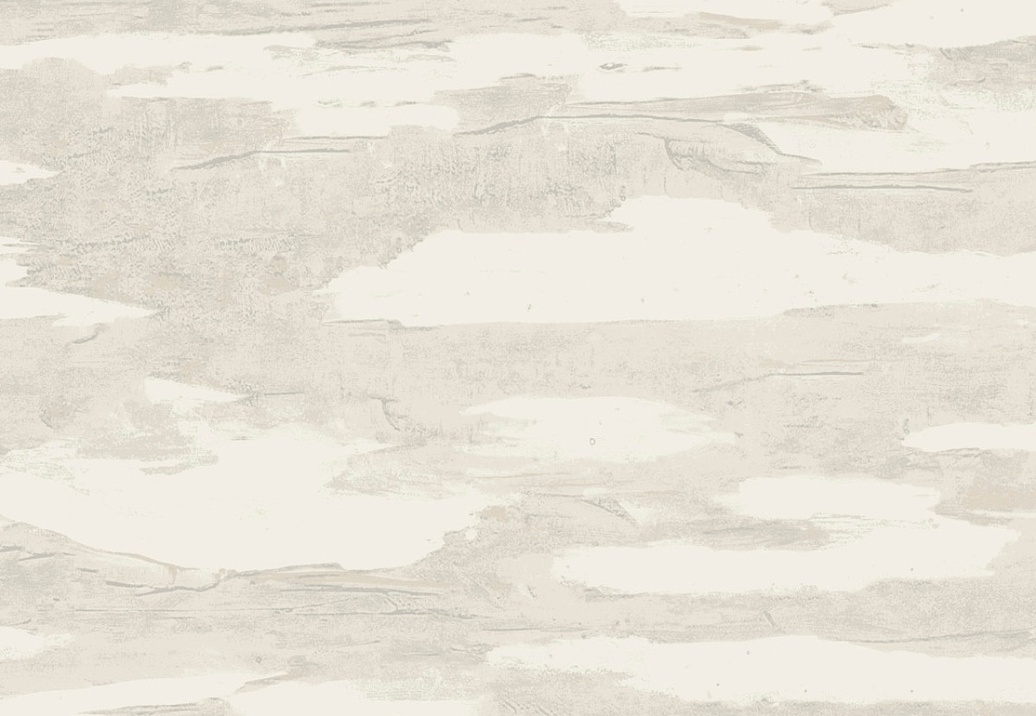 Обои York Natural Discovery (Candice Olson) NT6176