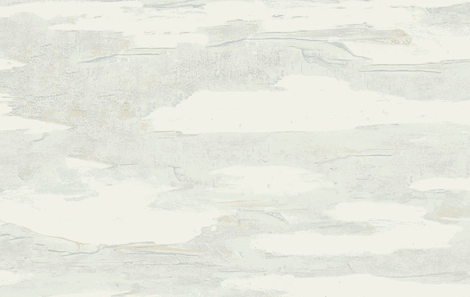 Американские обои York, коллекция Natural Discovery (Candice Olson), артикул NT6177