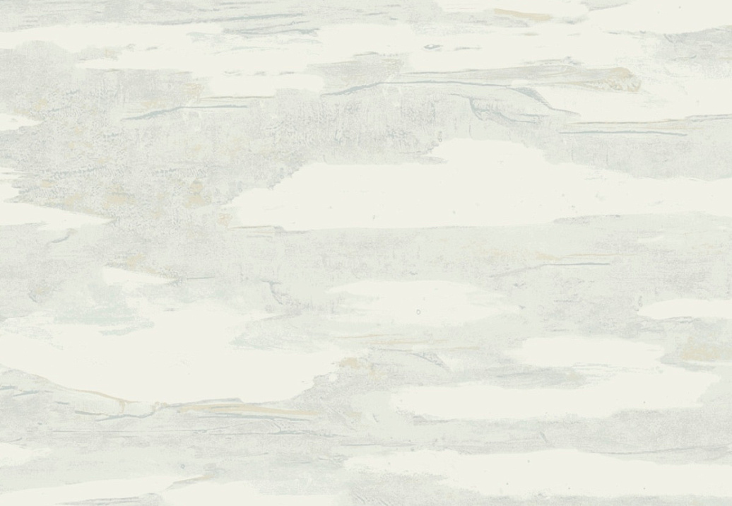 Обои York Natural Discovery (Candice Olson) NT6177