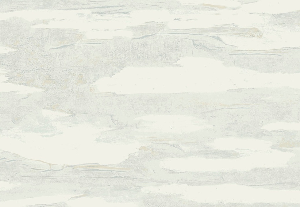 Обои York Natural Discovery (Candice Olson) NT6177