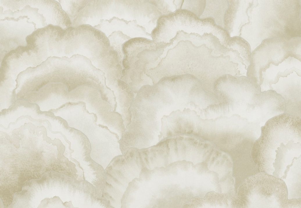 Обои York Natural Discovery (Candice Olson) NT6182