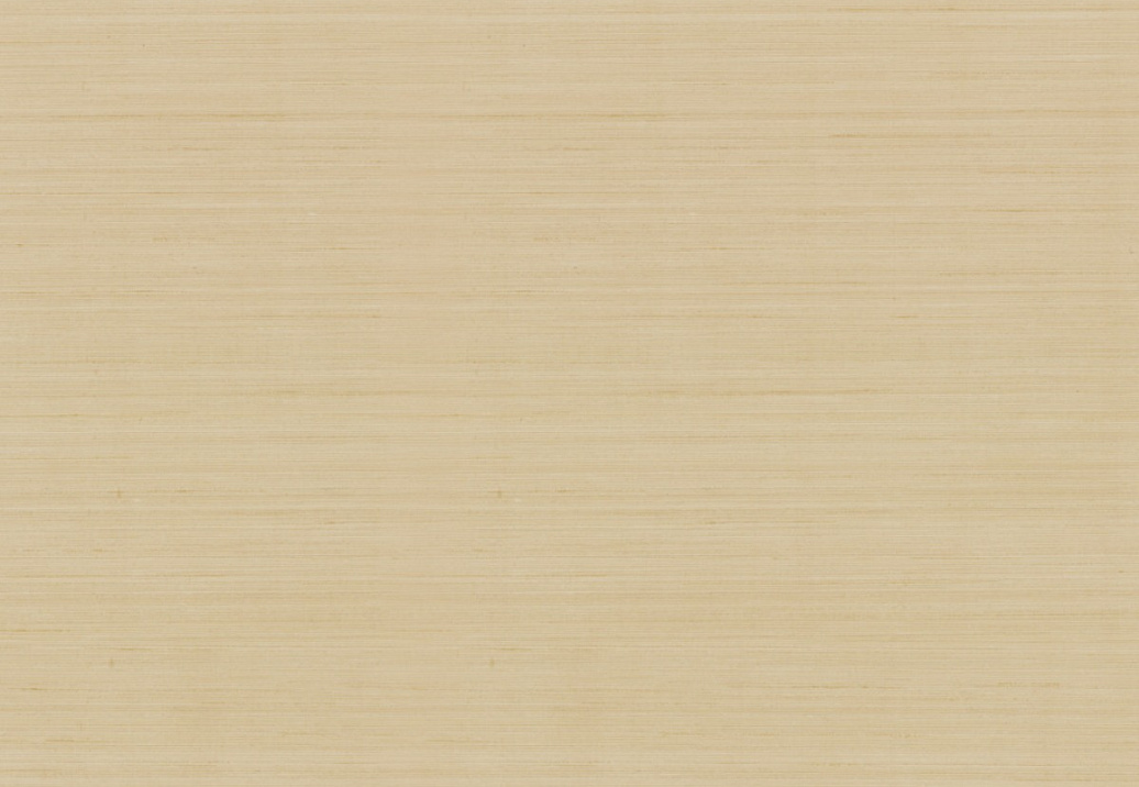 Обои York Natural Discovery (Candice Olson) NT6209N