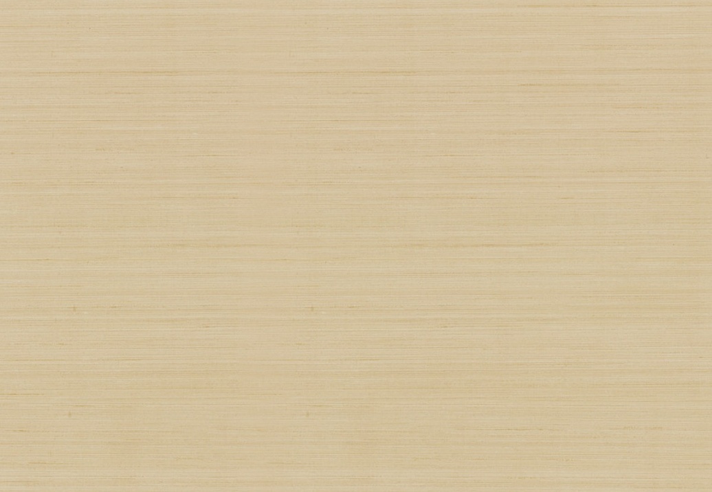 Обои York Natural Discovery (Candice Olson) NT6209N
