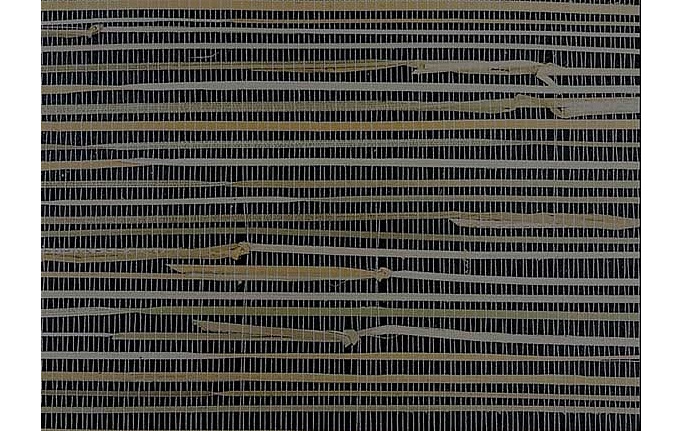Американские обои Jaima Brown, коллекция Mural Collection, артикул BX10175