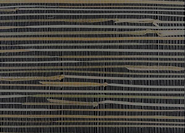 Обои Jaima Brown Mural Collection BX10175