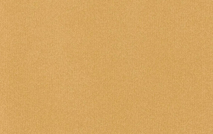 Французские обои Caselio, коллекция Color Box 3, артикул CB3102222525