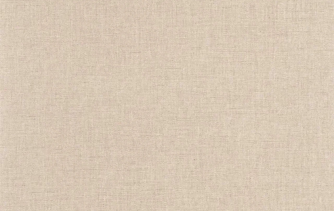 Французские обои Caselio, коллекция Color Box 3, артикул CB3103221720
