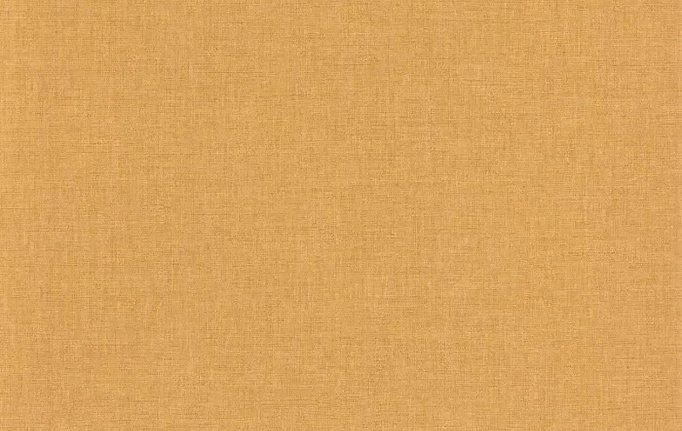 Французские обои Caselio, коллекция Color Box 3, артикул CB3103222440