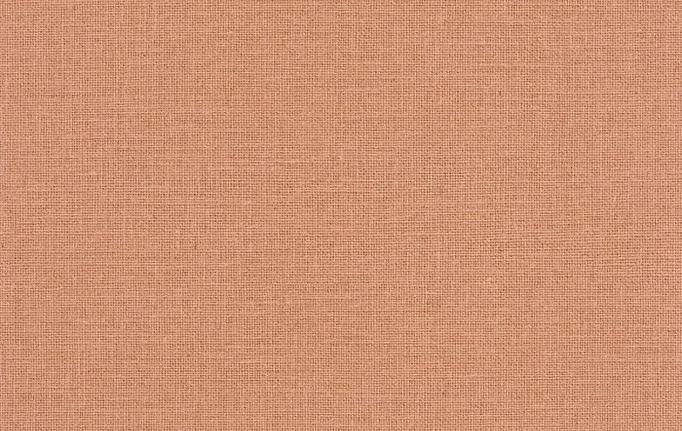Французские обои Caselio, коллекция Color Box 3, артикул CB3104014020