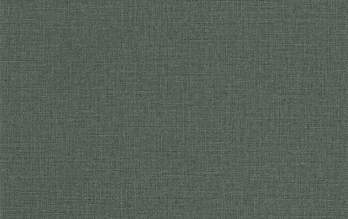 Французские обои Caselio, коллекция Color Box 3, артикул CB3104017850