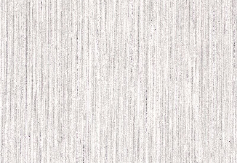 Обои Phillip Jeffries Contract Vinyl 7954