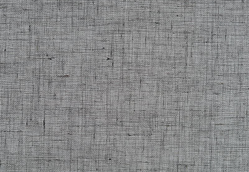 Обои Phillip Jeffries Tailored Walls 5564