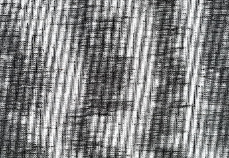Обои Phillip Jeffries Tailored Walls 5564