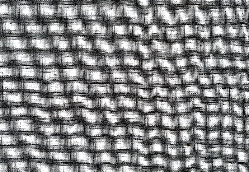 Обои Phillip Jeffries Tailored Walls 5565