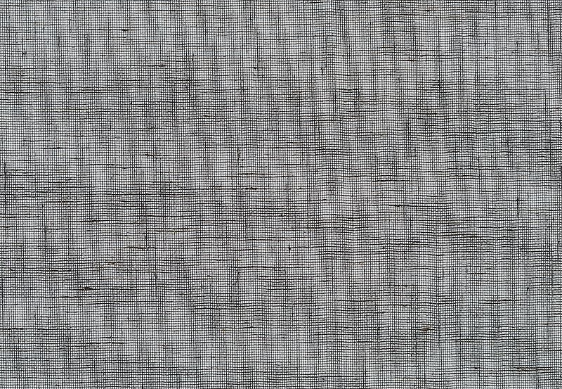 Обои Phillip Jeffries Tailored Walls 5565