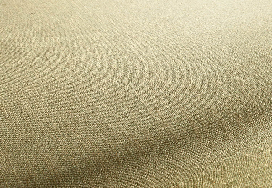 Ткань Chivasso Carlucci di Chivasso Two-Tone vol.2 CA7655/035