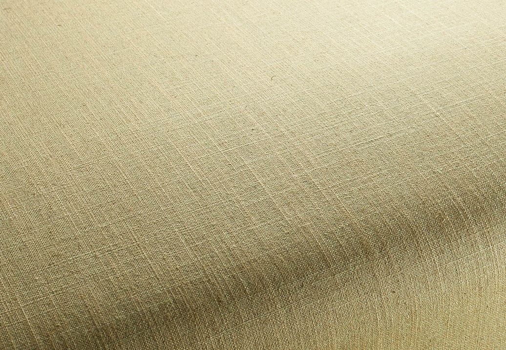 Ткань Chivasso Carlucci di Chivasso Two-Tone vol.2 CA7655/035