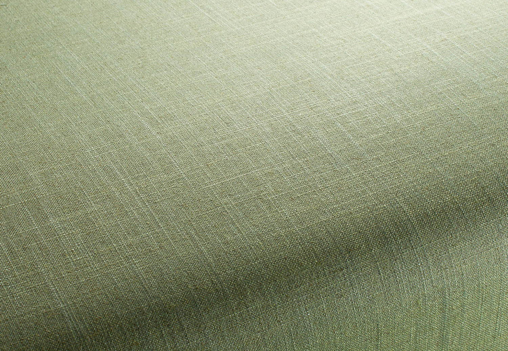 Ткань Chivasso Carlucci di Chivasso Two-Tone vol.2 CA7655/038