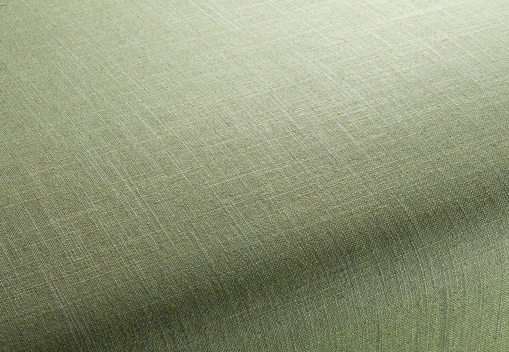 Ткань Chivasso Carlucci di Chivasso Two-Tone vol.2 CA7655/038
