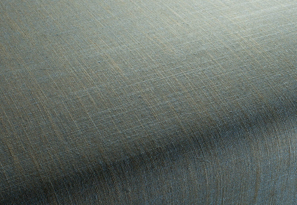Ткань Chivasso Carlucci di Chivasso Two-Tone vol.2 CA7655/055