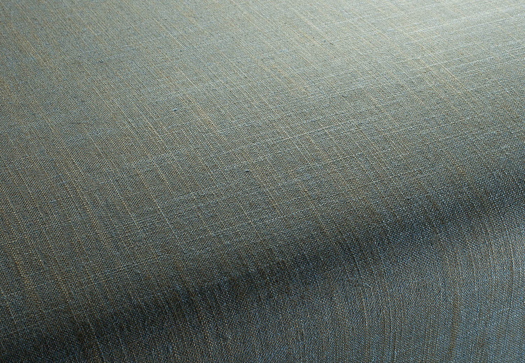 Ткань Chivasso Carlucci di Chivasso Two-Tone vol.2 CA7655/055
