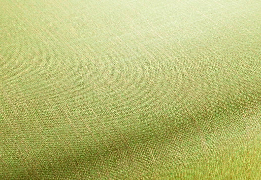 Ткань Chivasso Carlucci di Chivasso Two-Tone vol.2 CA7655/134
