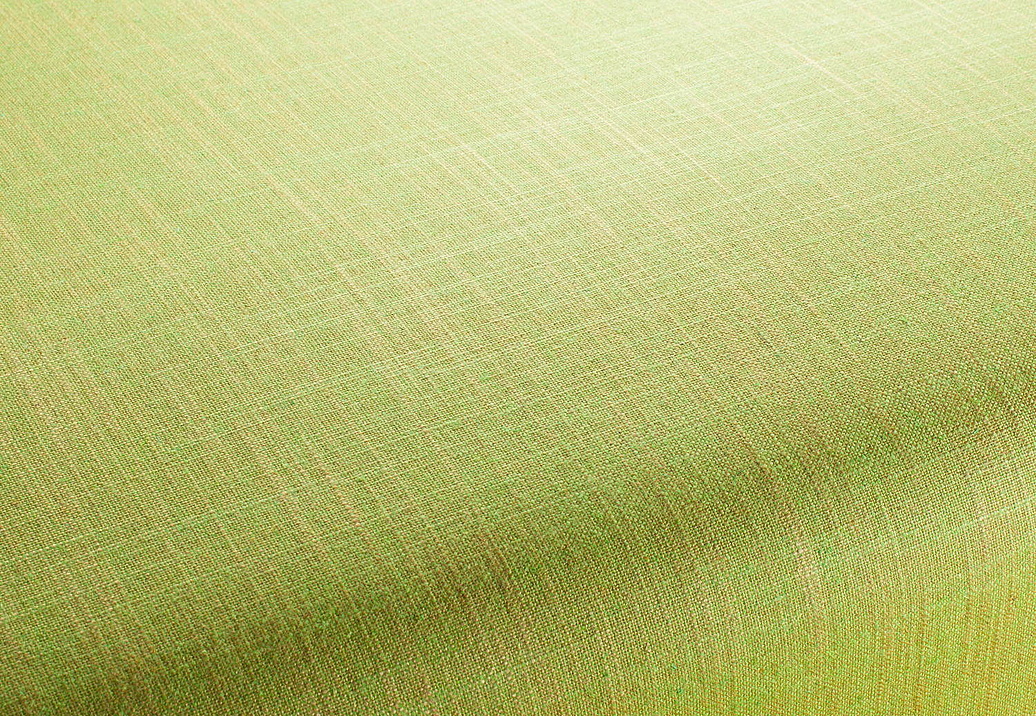 Ткань Chivasso Carlucci di Chivasso Two-Tone vol.2 CA7655/134