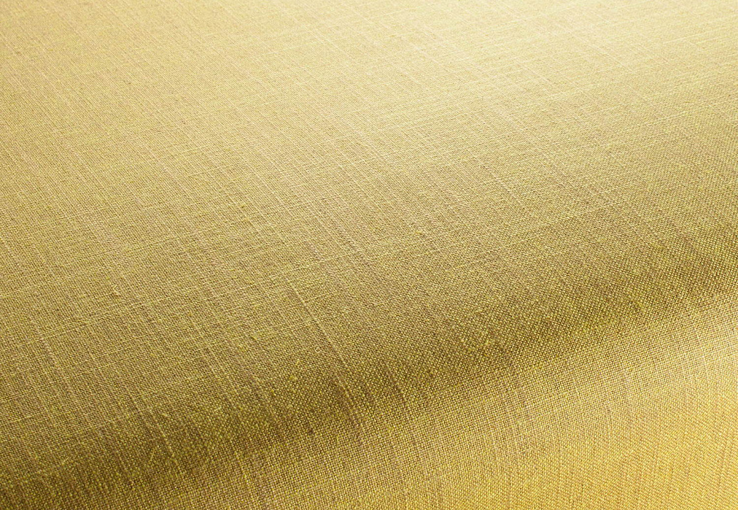 Ткань Chivasso Carlucci di Chivasso Two-Tone vol.2 CA7655/135