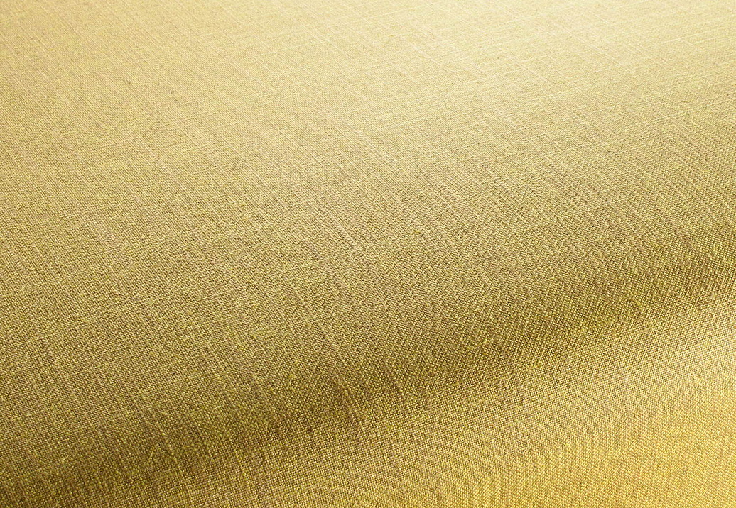 Ткань Chivasso Carlucci di Chivasso Two-Tone vol.2 CA7655/135