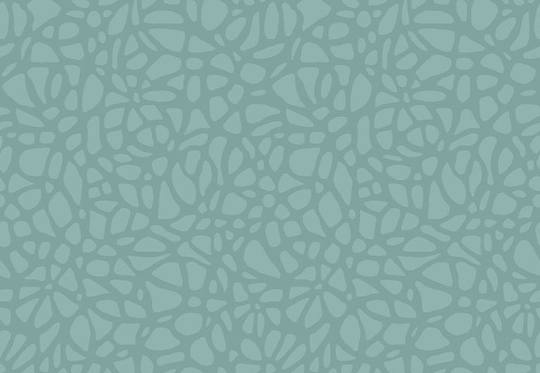 Обои 1838 Wallcoverings Aurora 1804-121-04