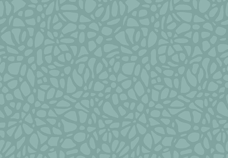 Обои 1838 Wallcoverings Aurora 1804-121-04