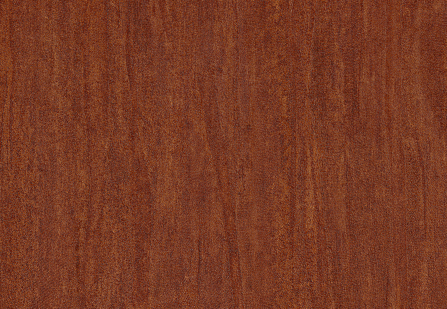 Обои Casamance Estampe 74021963